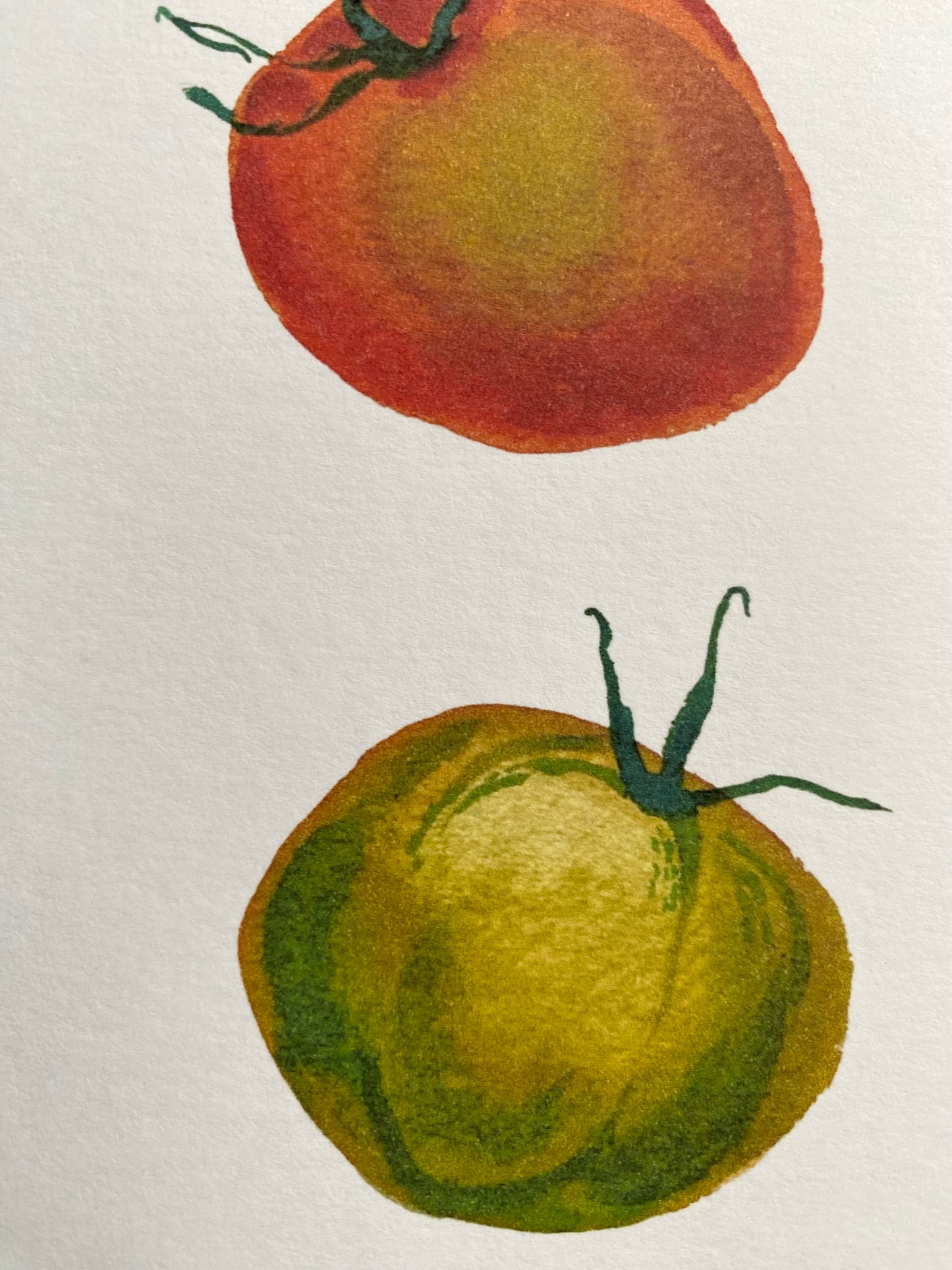 Fresh and colourful tomato art print - botanical watercolour wall art