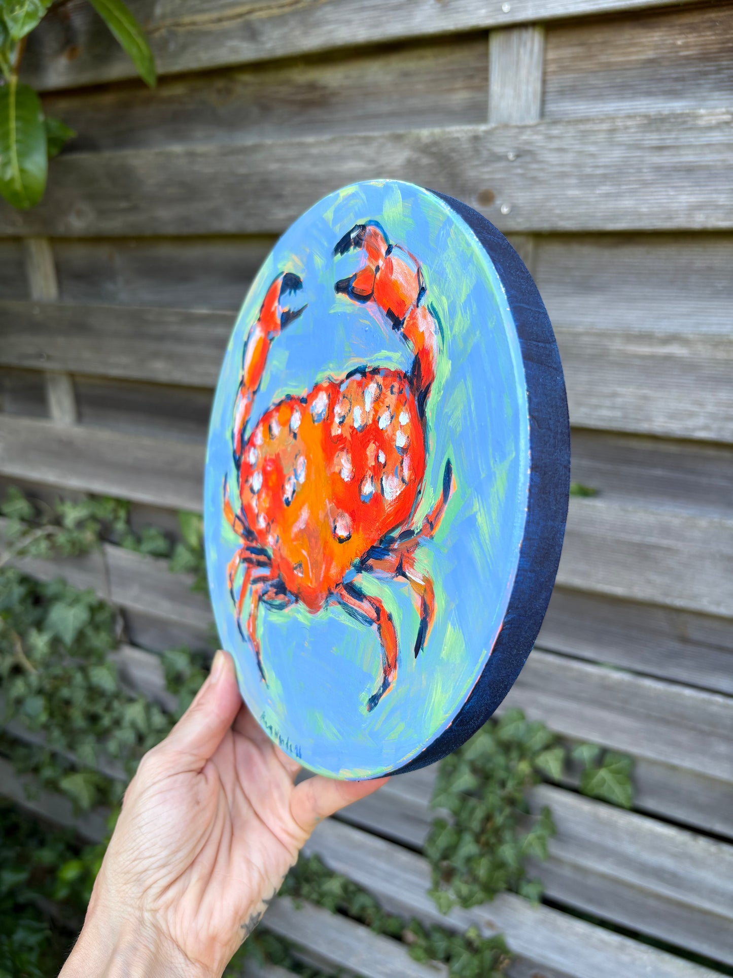 Red and blue crab