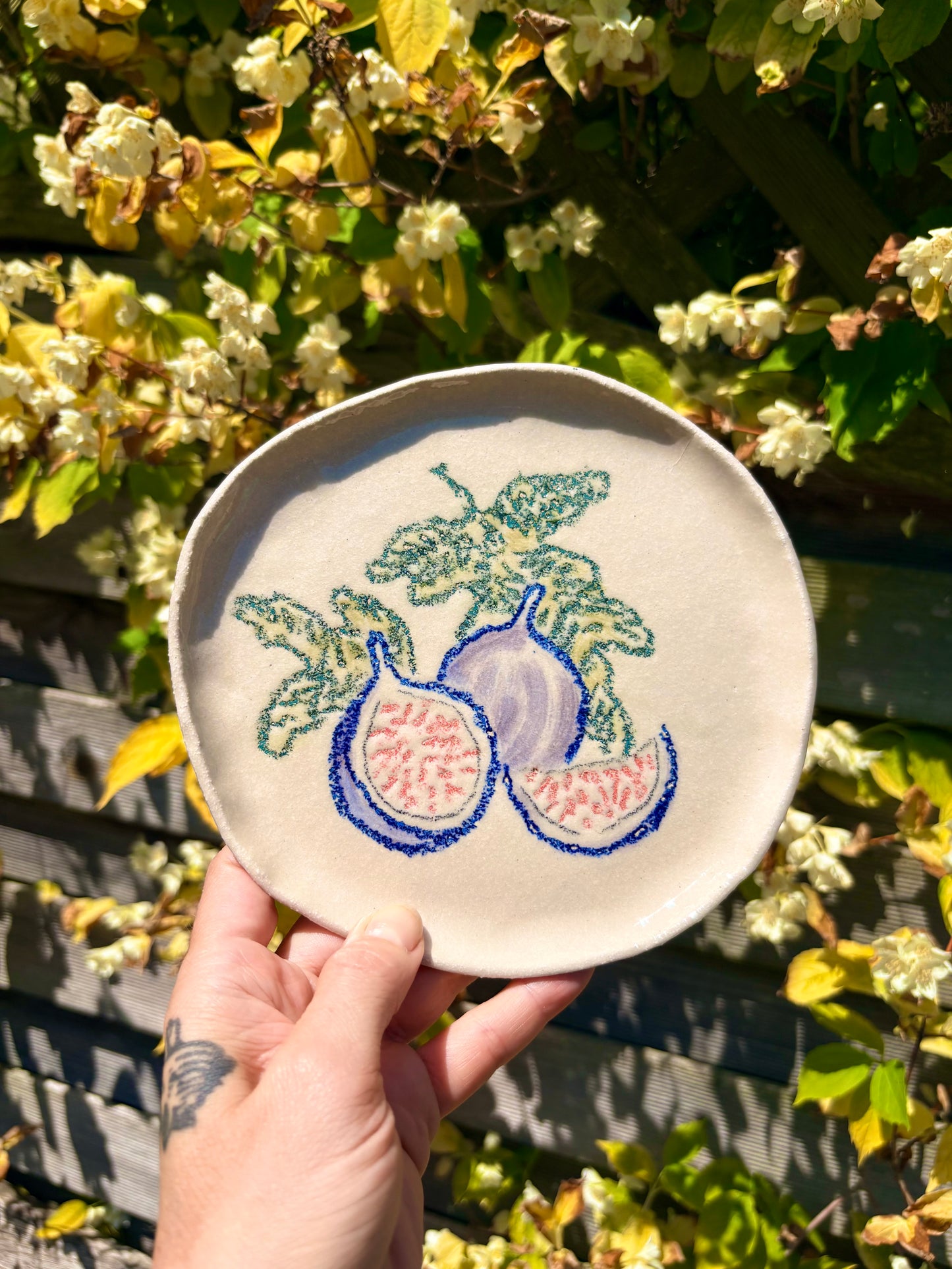 Plate with figs