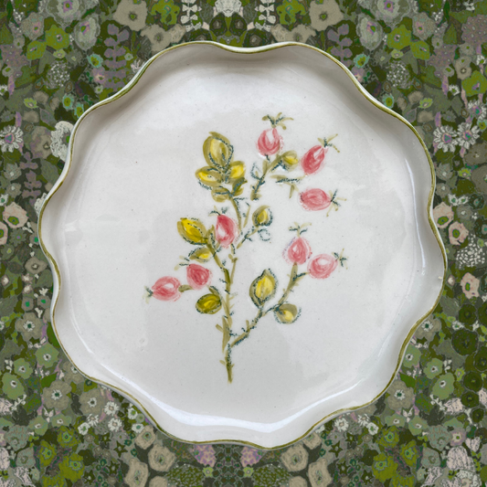 Rose hip plate