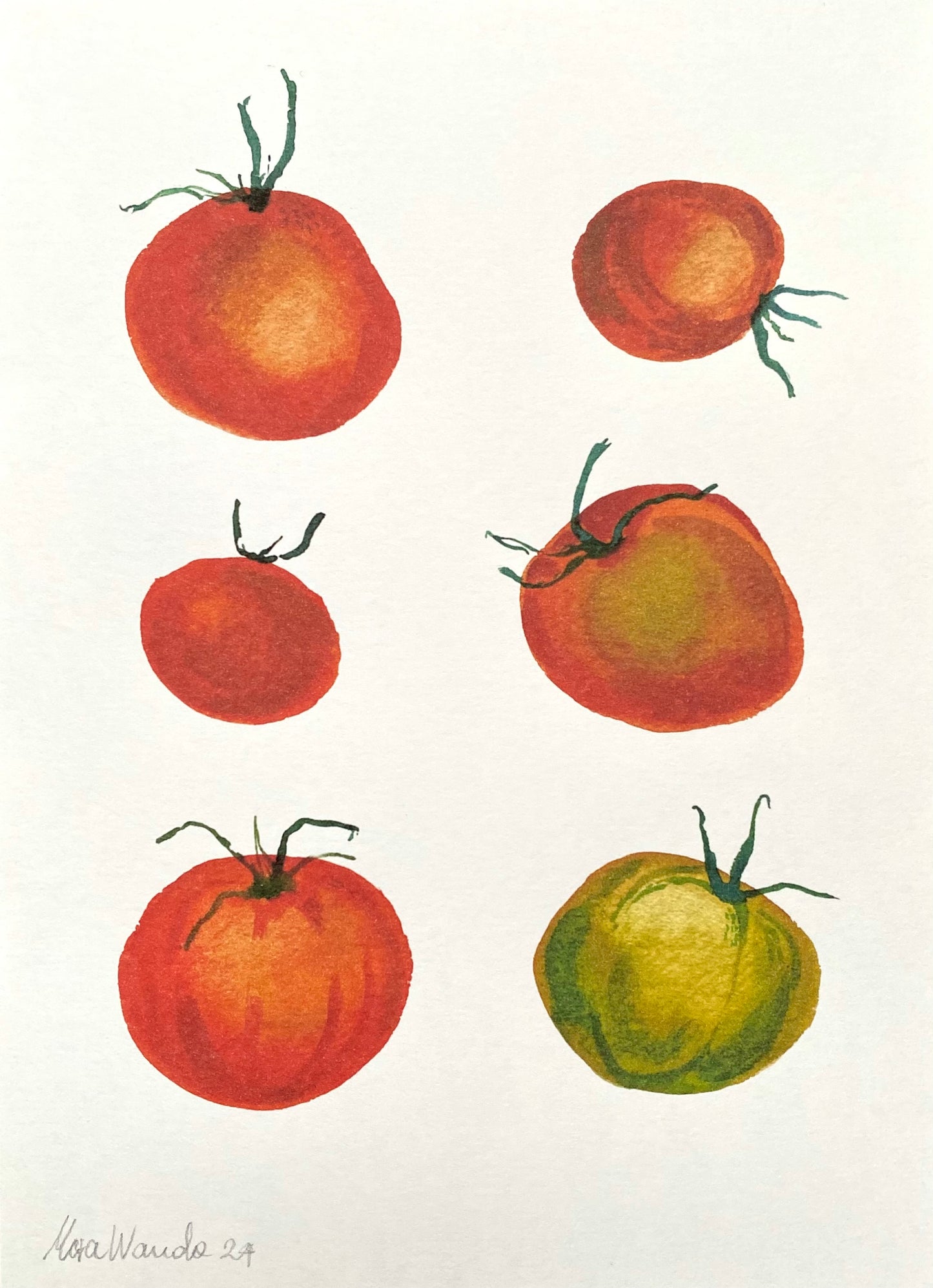 Fresh and colourful tomato art print - botanical watercolour wall art