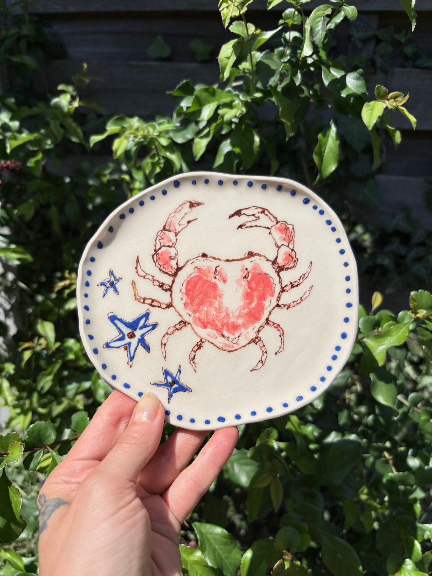 Small crab plate