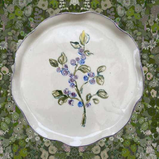 Buckthorn plate
