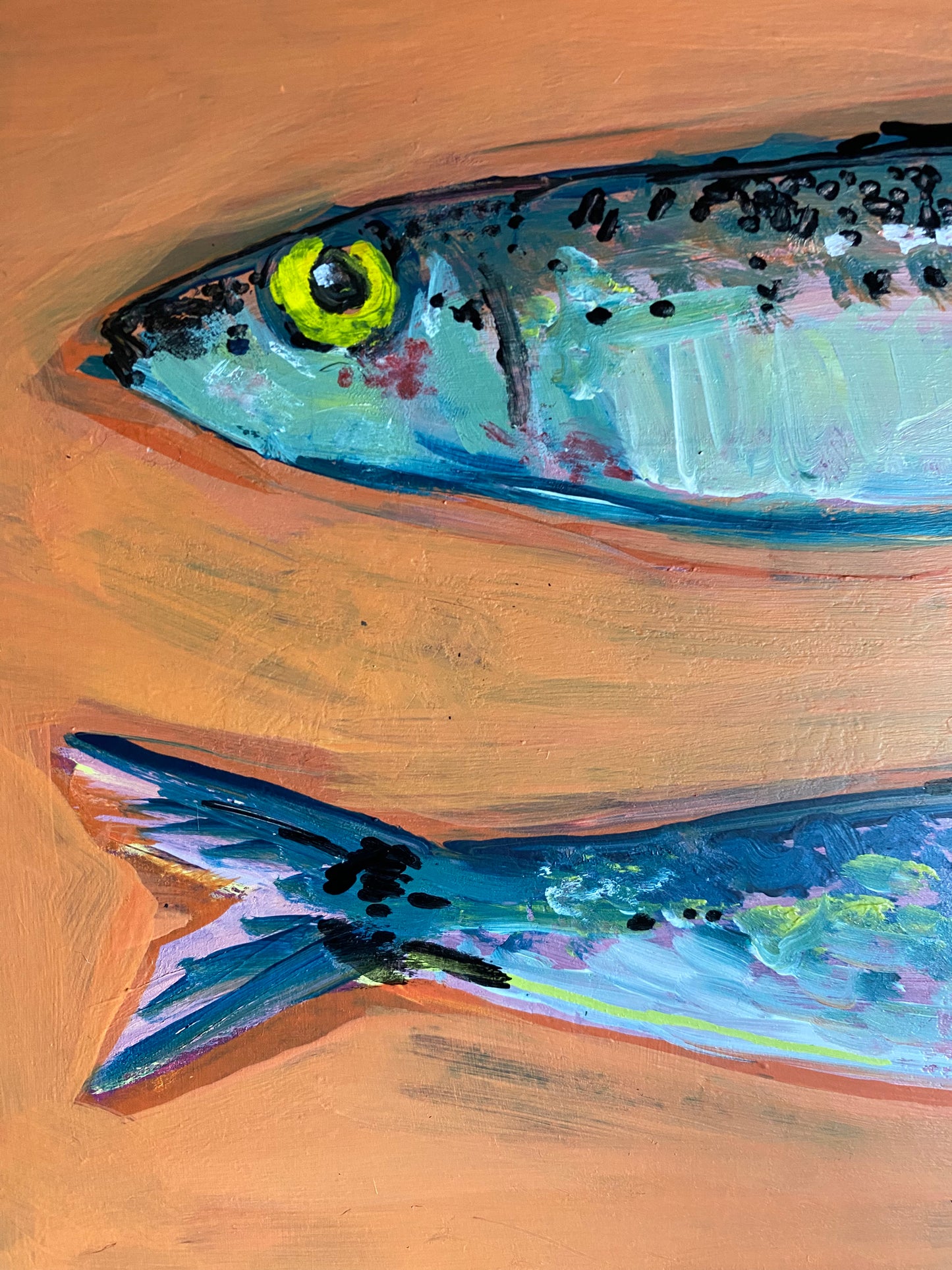 “Two sardines” acrylic on 2cm deep cradled wood