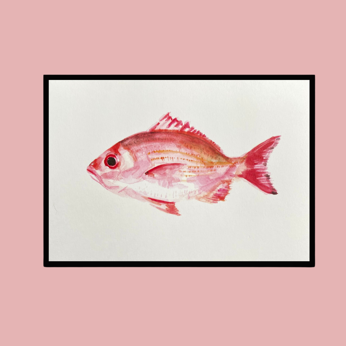 A5 red snapper watercolor art print