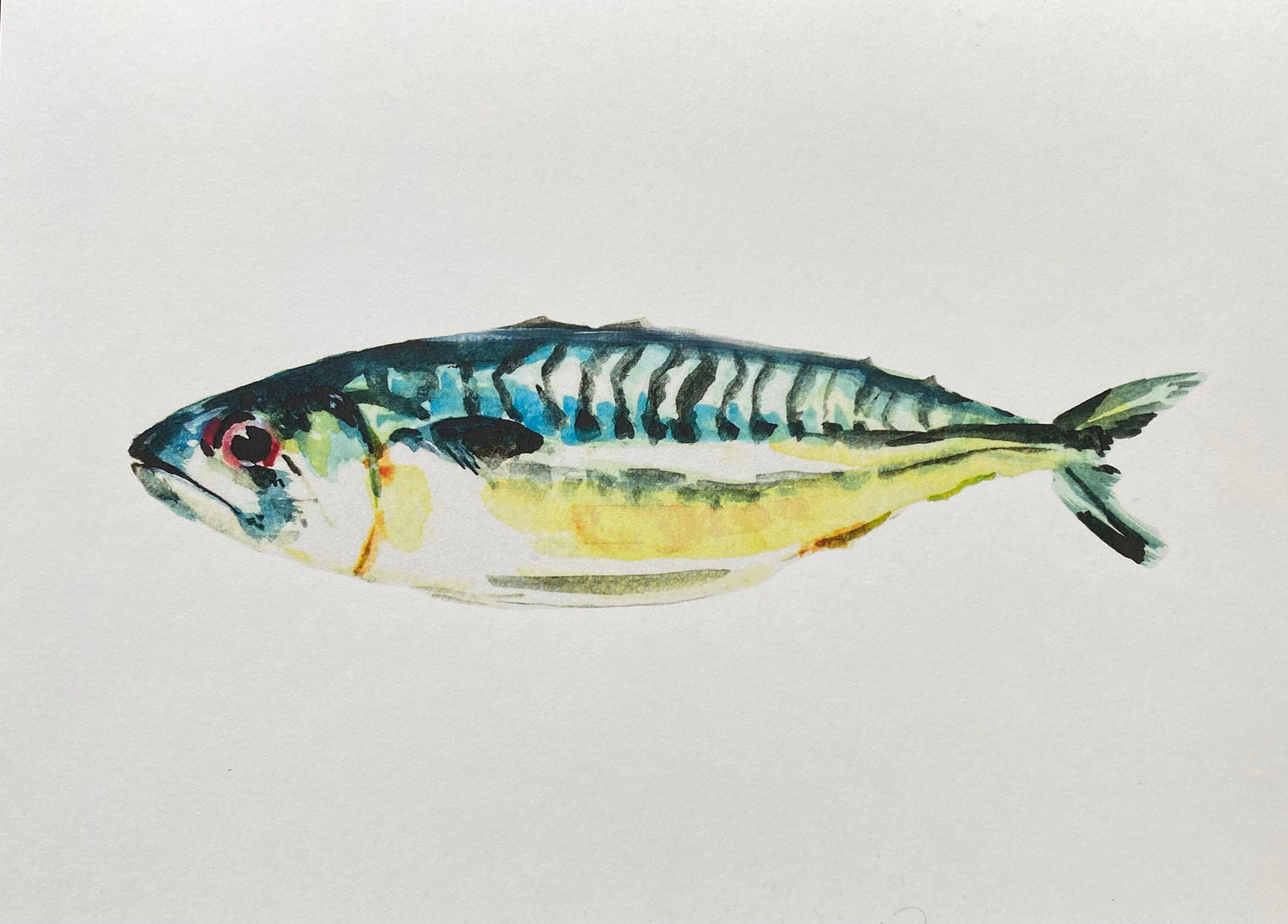 A5 Mackerel watercolor art print