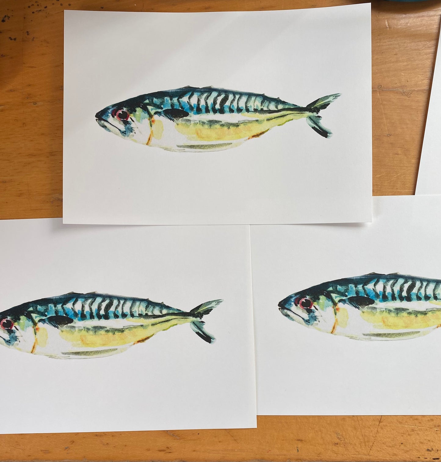 A5 Mackerel watercolor art print