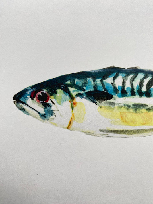 A5 Mackerel watercolor art print